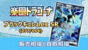 ブラックキュレムex【SR】